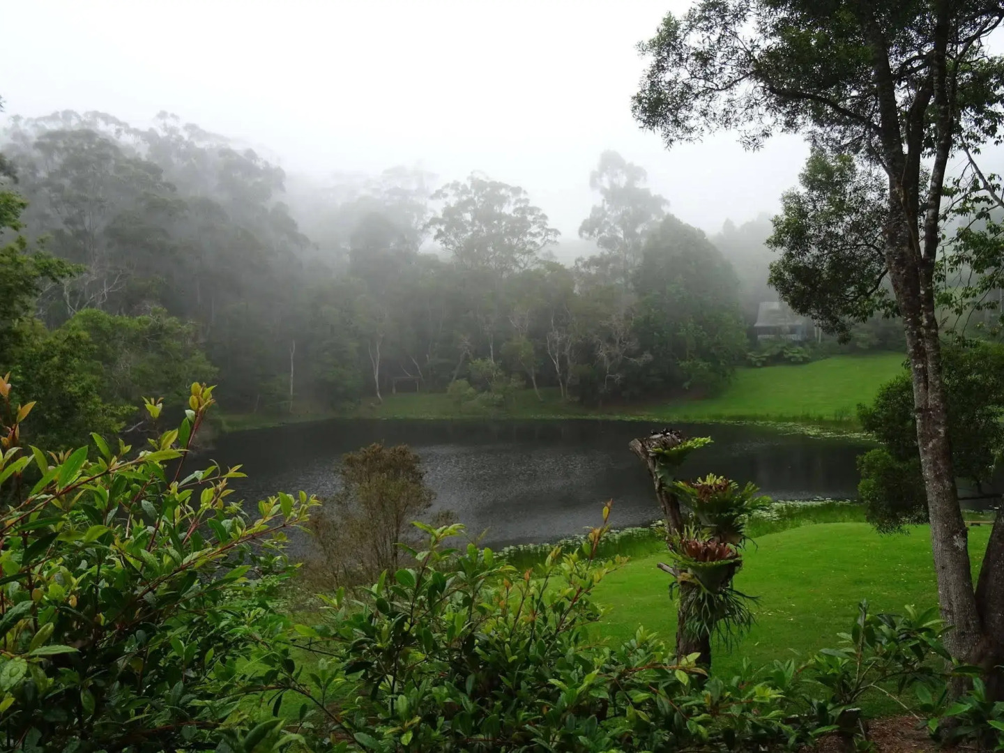 Montville Country Cabins