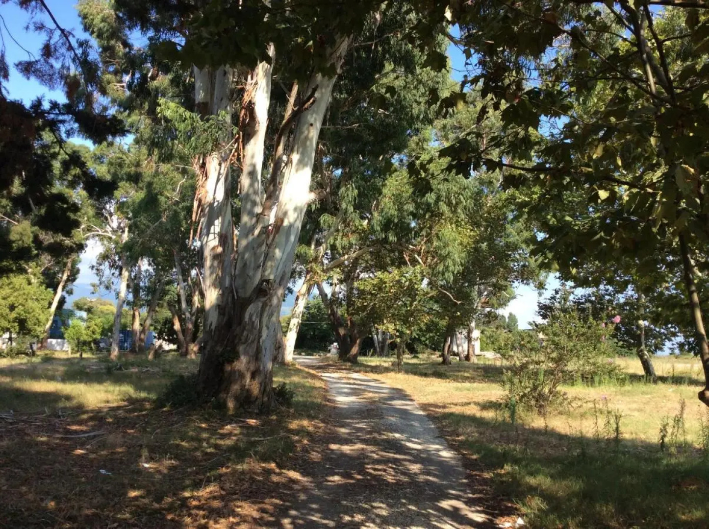 Club Hotel Bereg Evkaliptov