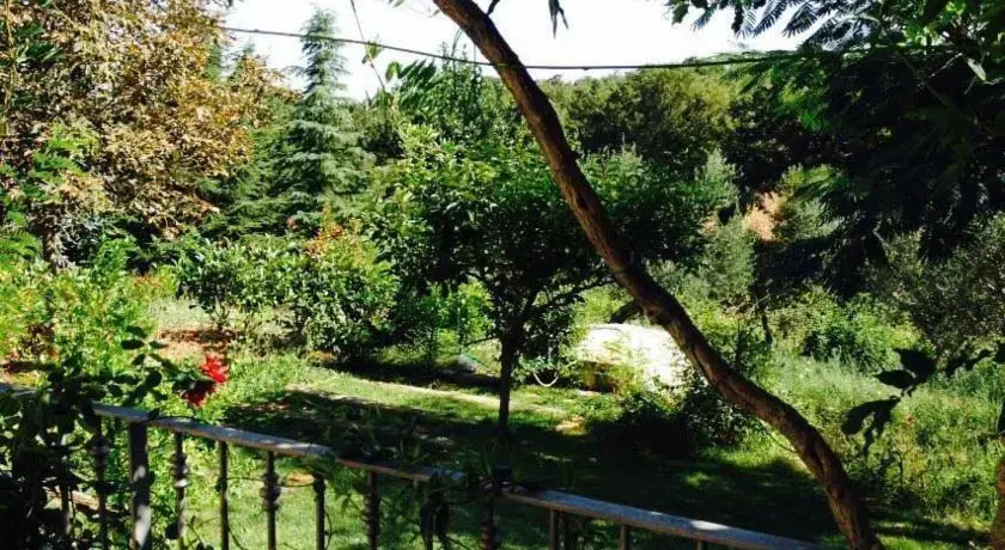 Il trullo dei Tini