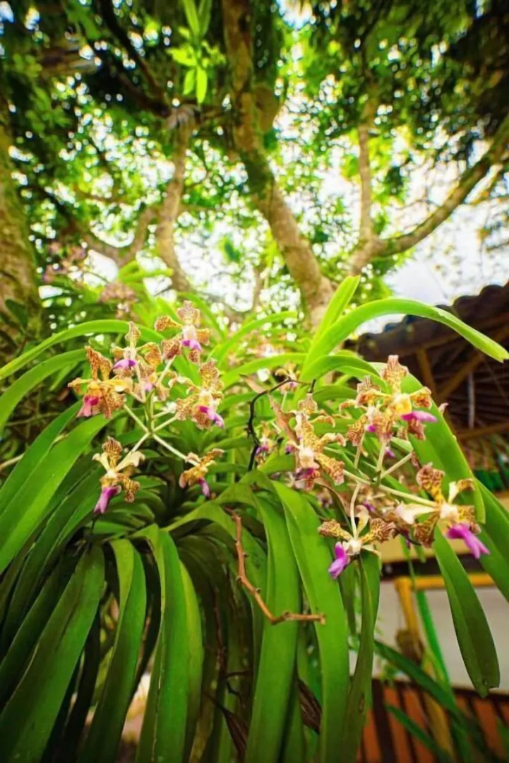 Eco Hotel Las Palmas