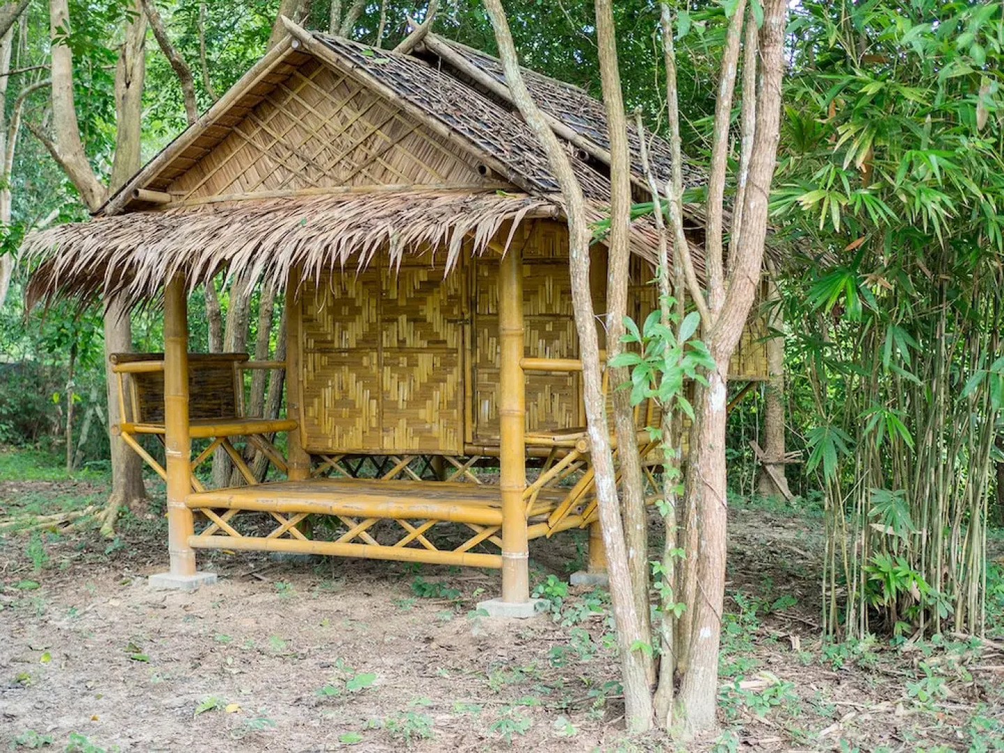 Wichai's Jungle Home Stay
