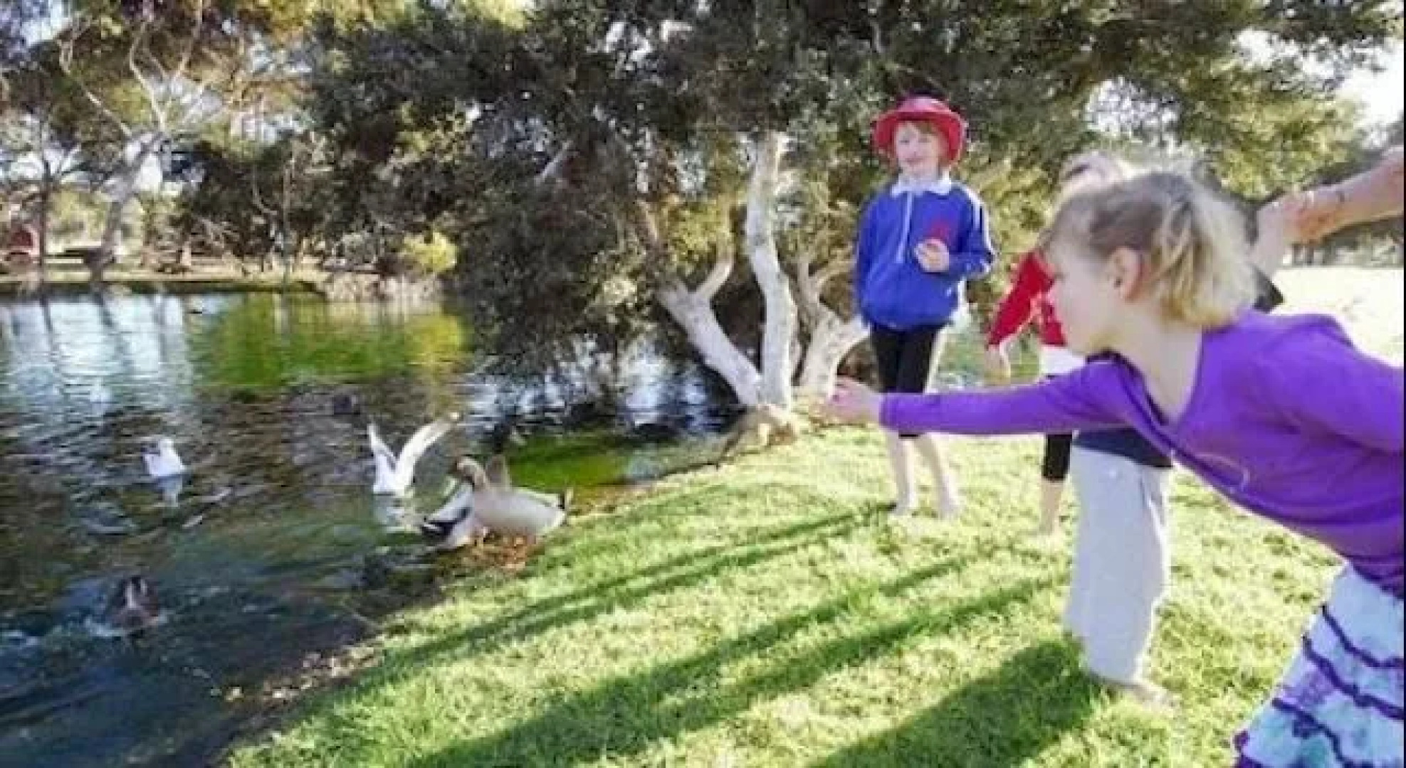 Esperance All Seasons Esplanade Apartments