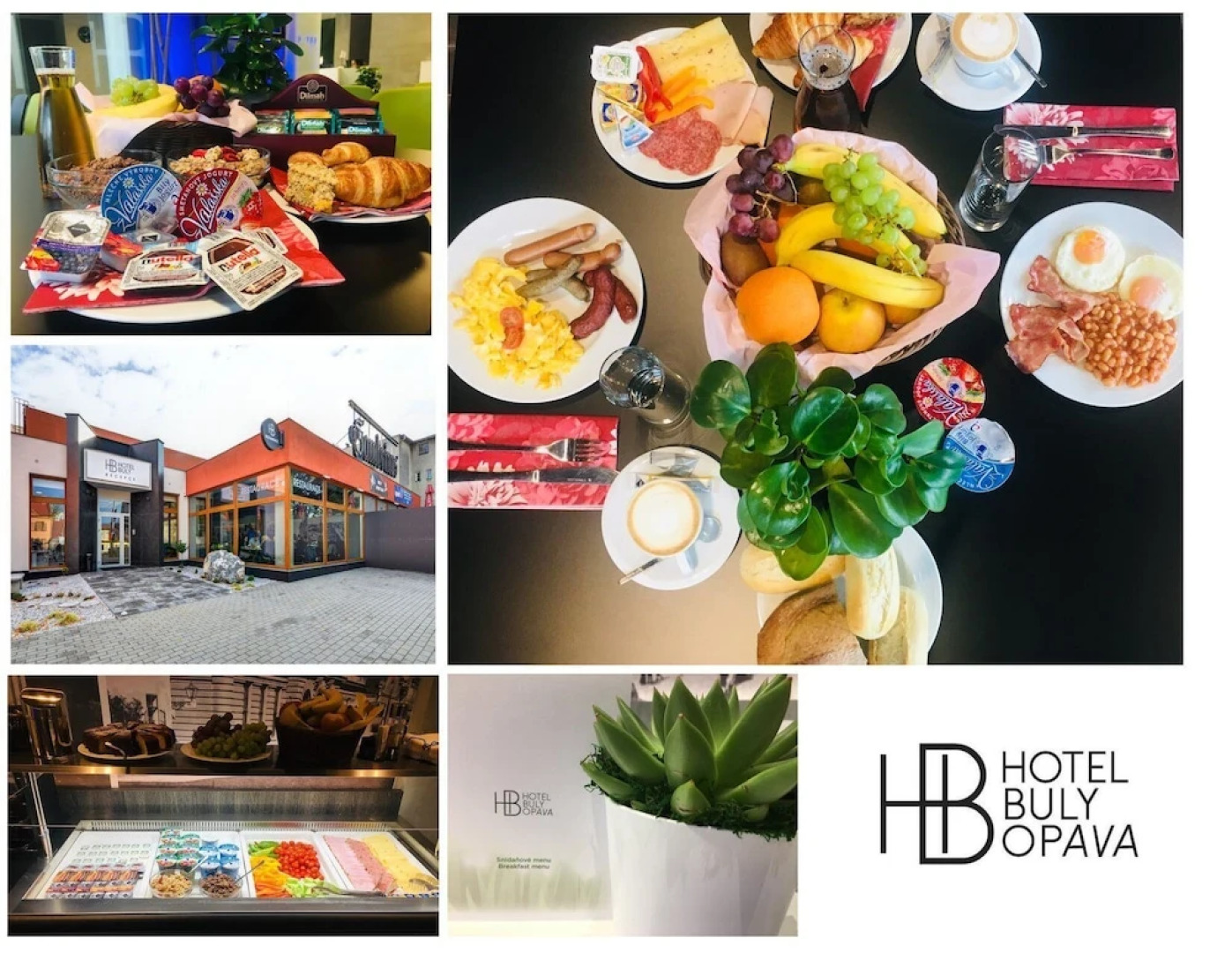 Hotel Buly Opava
