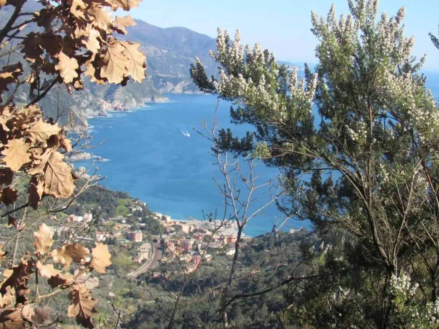 Green Quiet Affittacamere