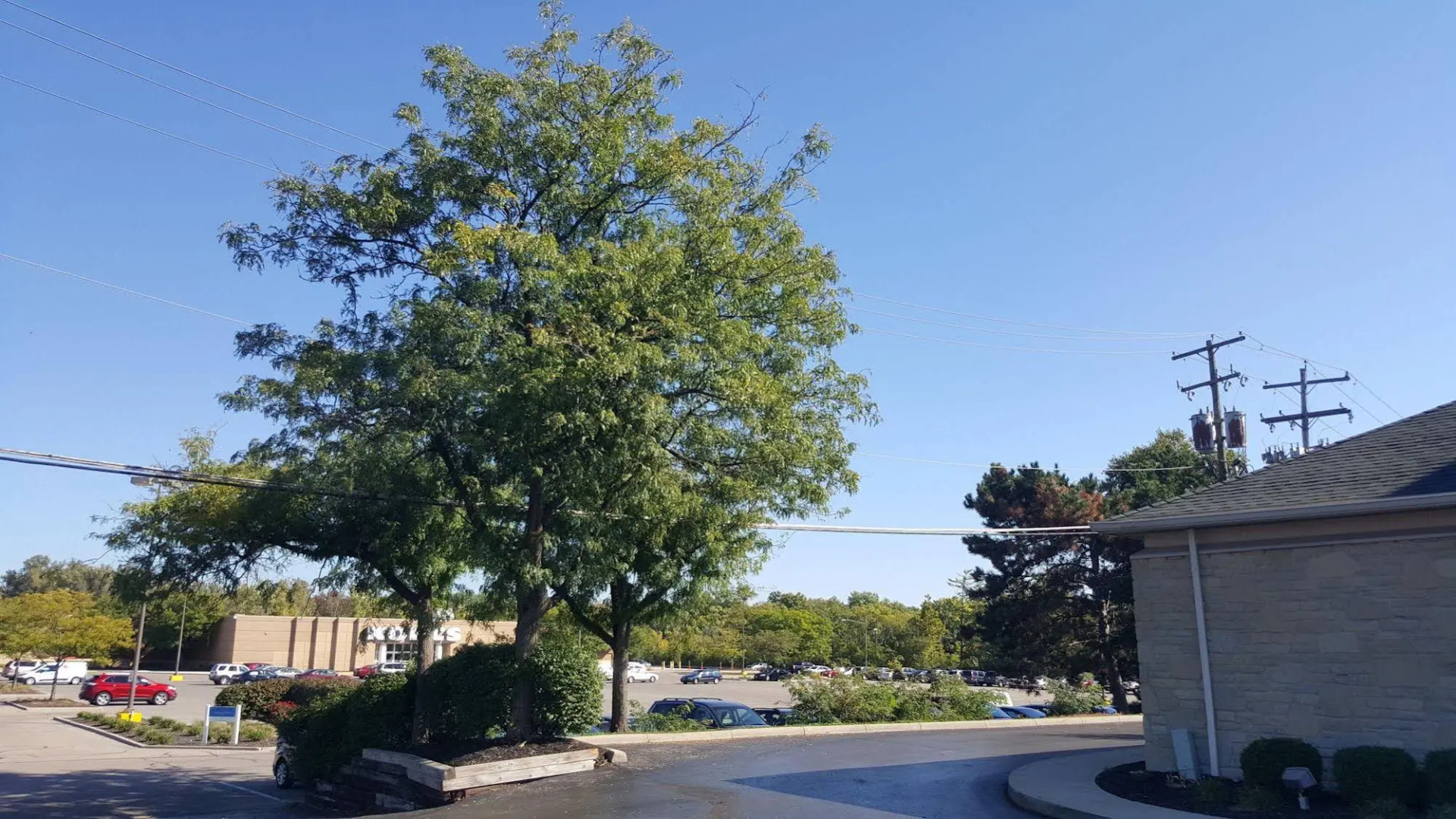 Motel 6 Columbus, OH - OSU