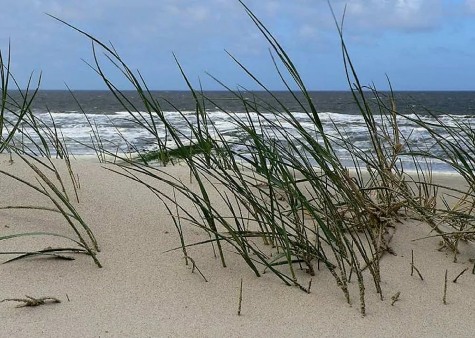 Nordsee-Hotel Deichgraf