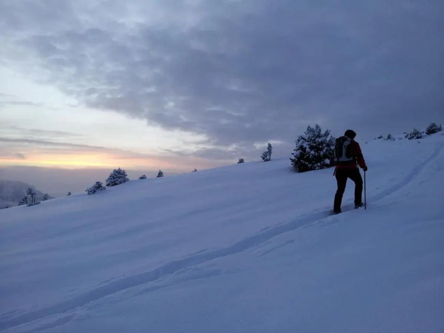 Villa Hubertus Apartments