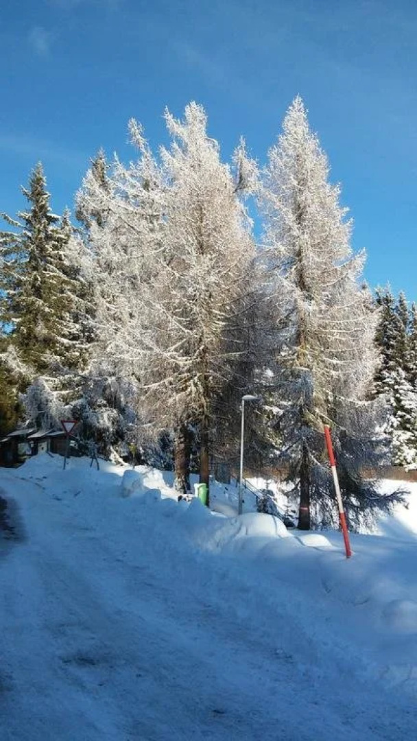 Ferienwohnung im Haus Edelweiss