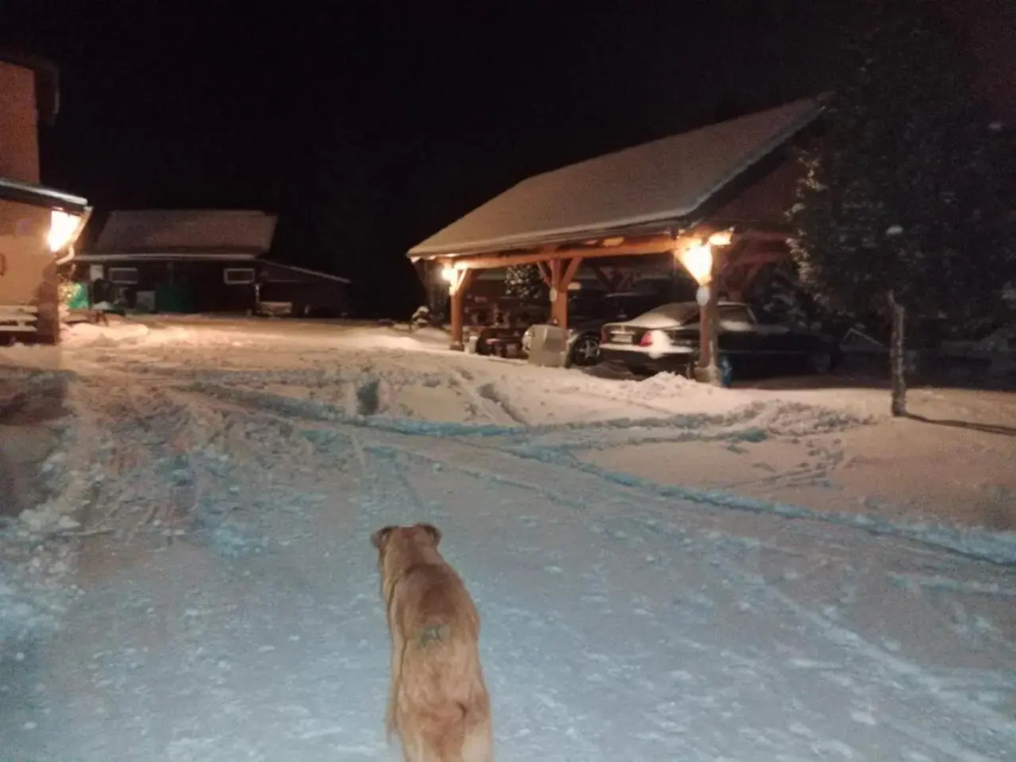 Penzión Monty Ranch