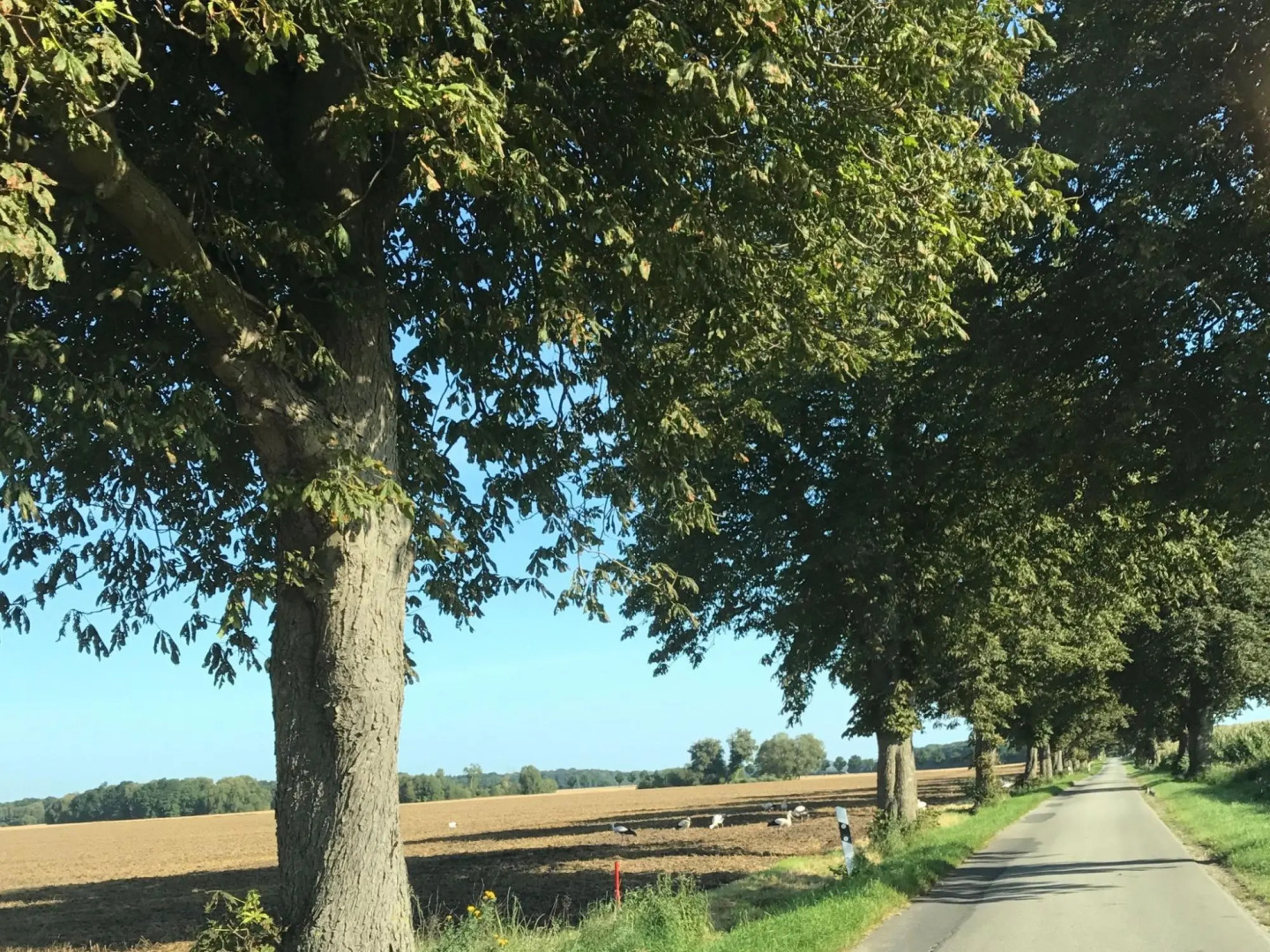 Luxuriose Ferienwohnung in Boddin mit Garten