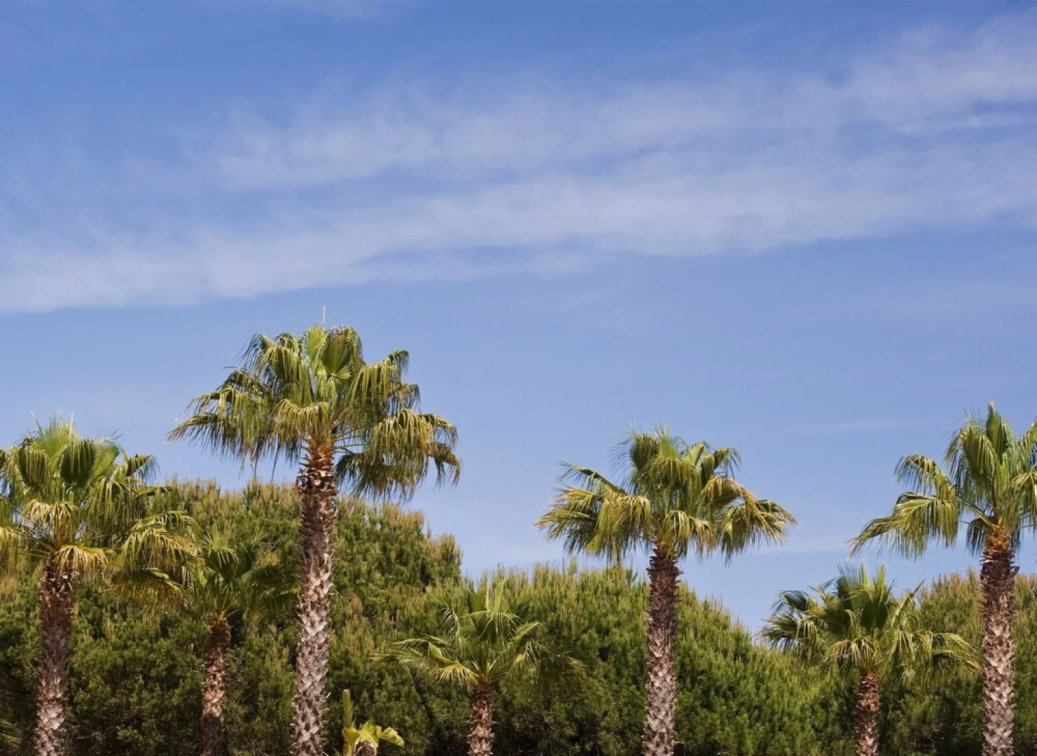 Ancão Holiday House