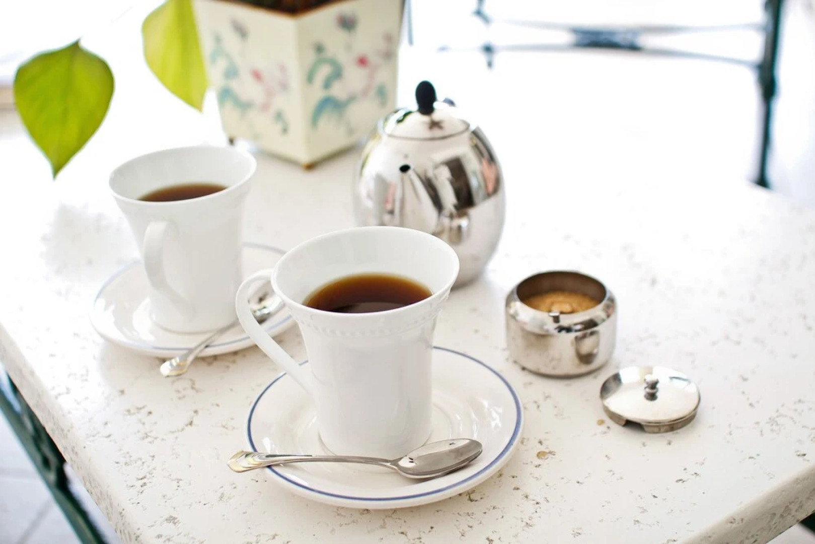 Cattleya's Blue Suite