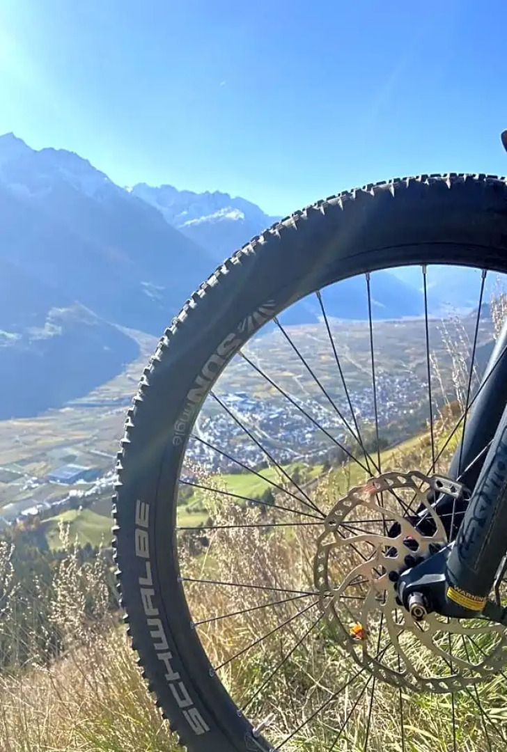 Genusshotel Panorama