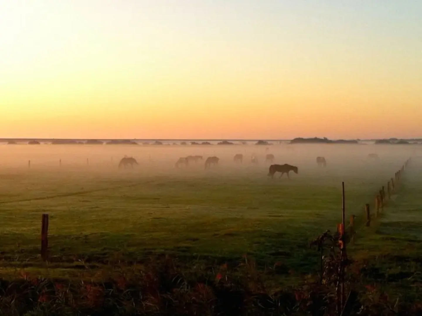 Christel Modern Retreat