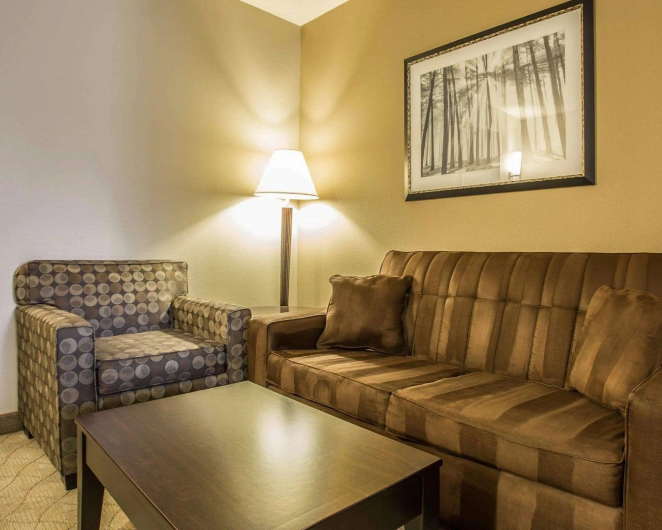 Comfort Suites Huntersville near Lake Norman