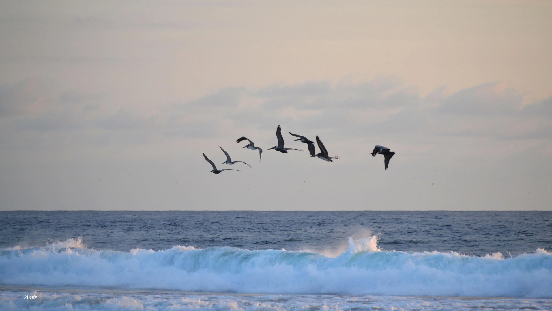 Concierge Plaza San Rafael