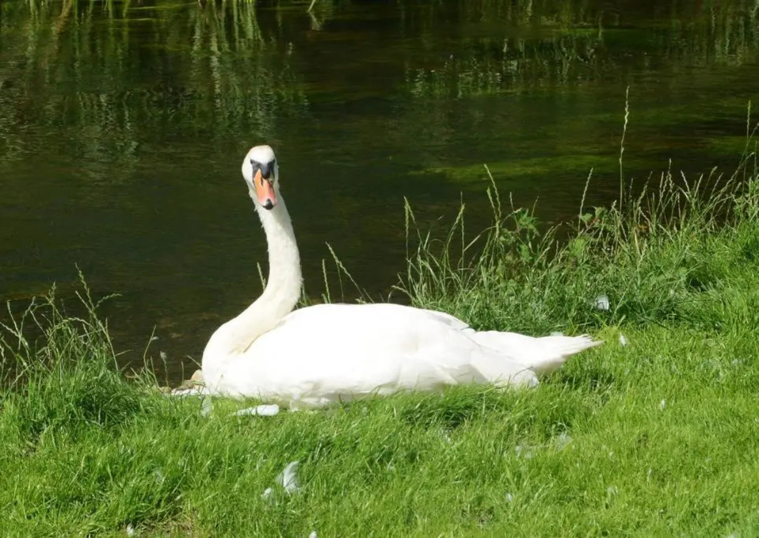 The Old Bakery, Long Street