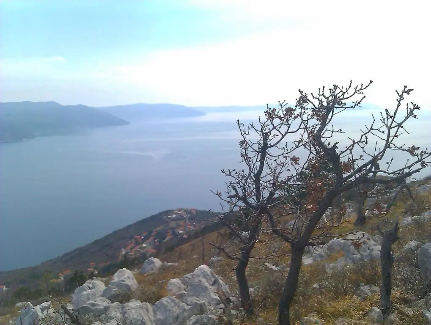 Apartments Plavčić