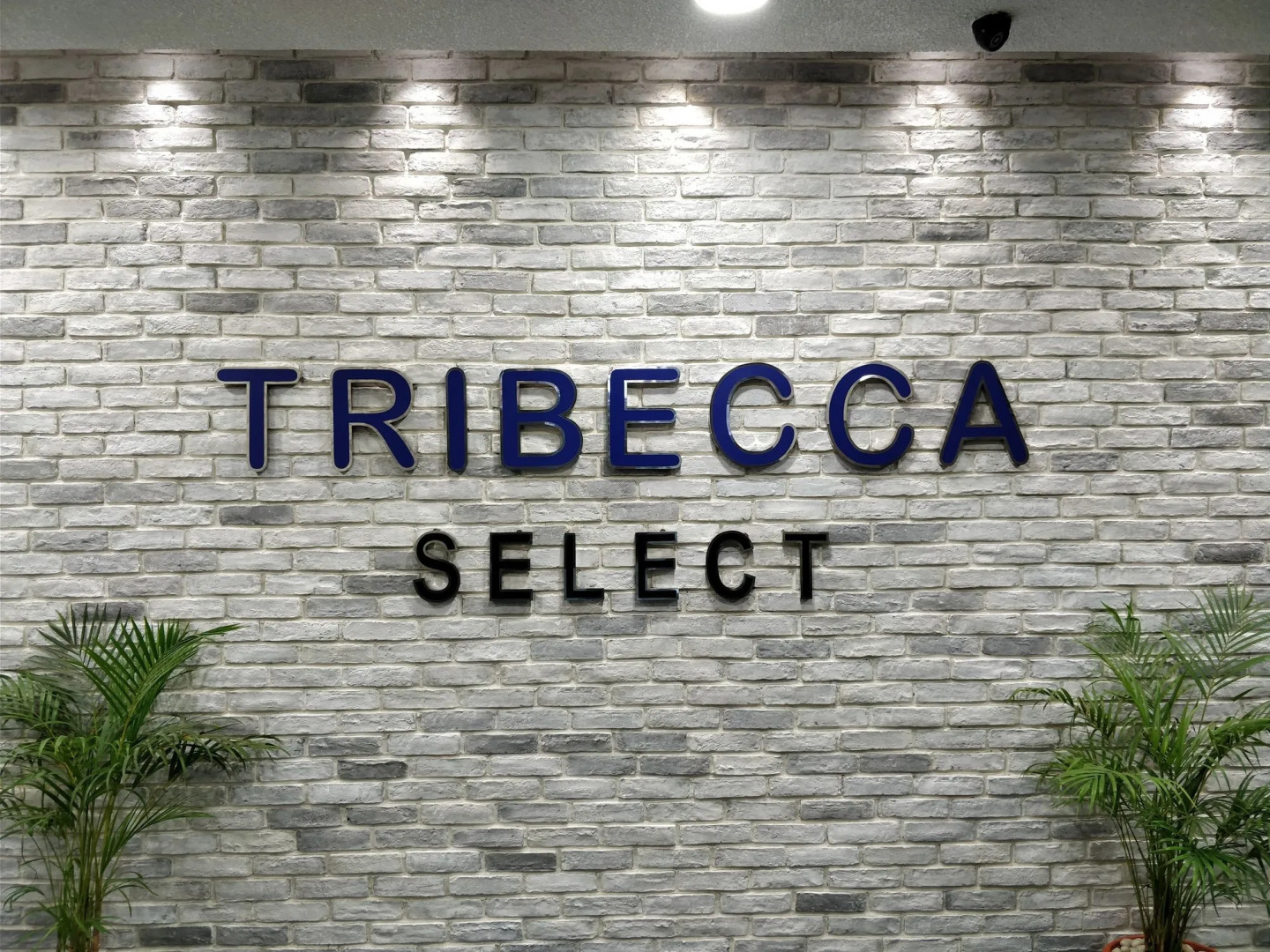 Tribecca Select