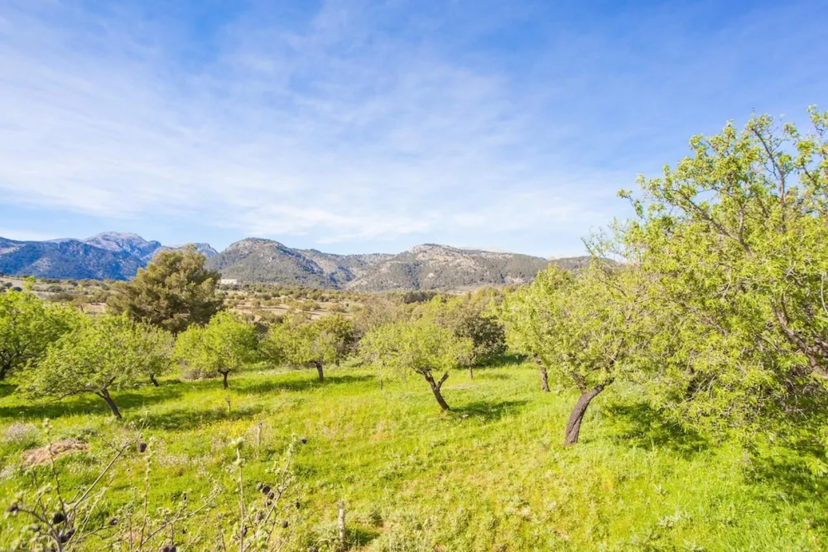 Son Puça (Son Cabot)