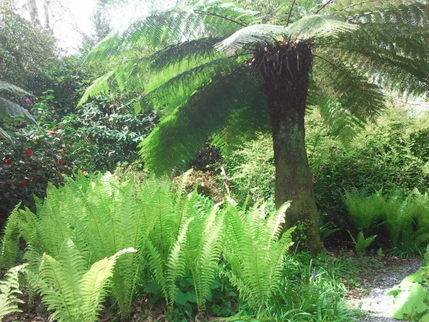 Kilmokea Garden Suite