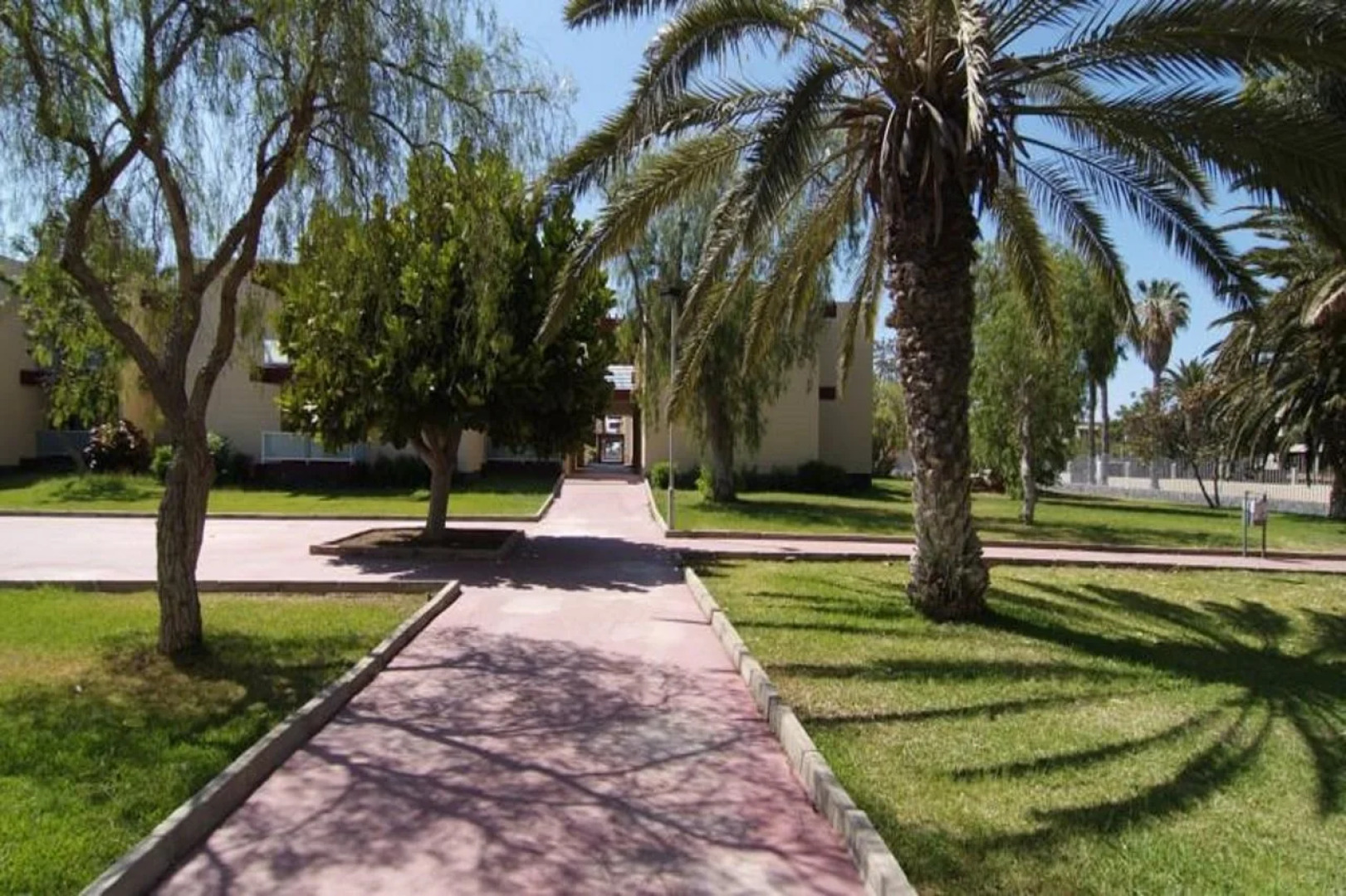 Hotel Palia Don Pedro