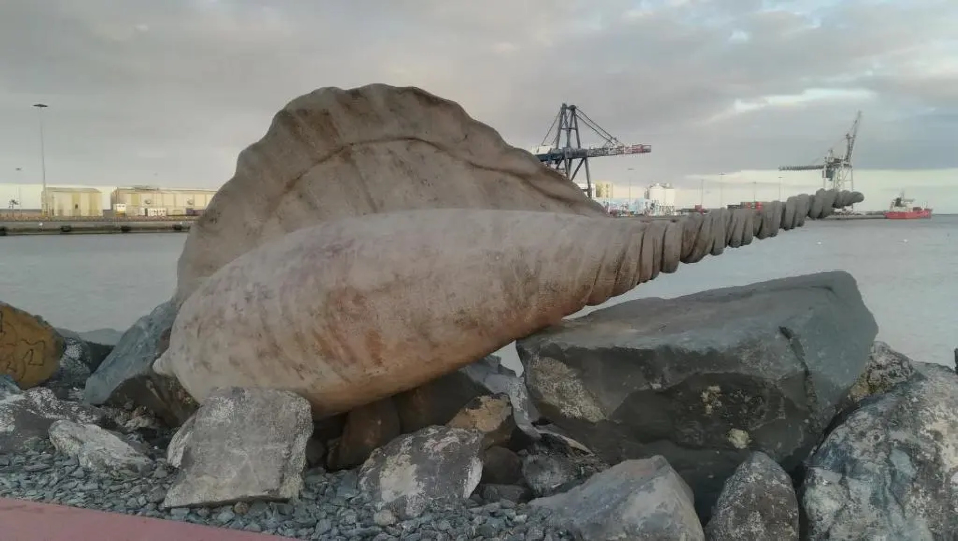 Bed & Breakfast Descanso y Relax