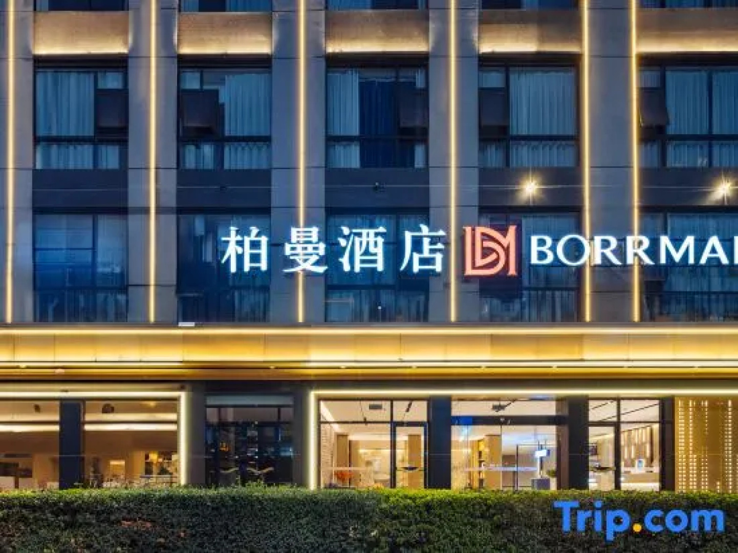 Borrman Hotel (Guangnan)