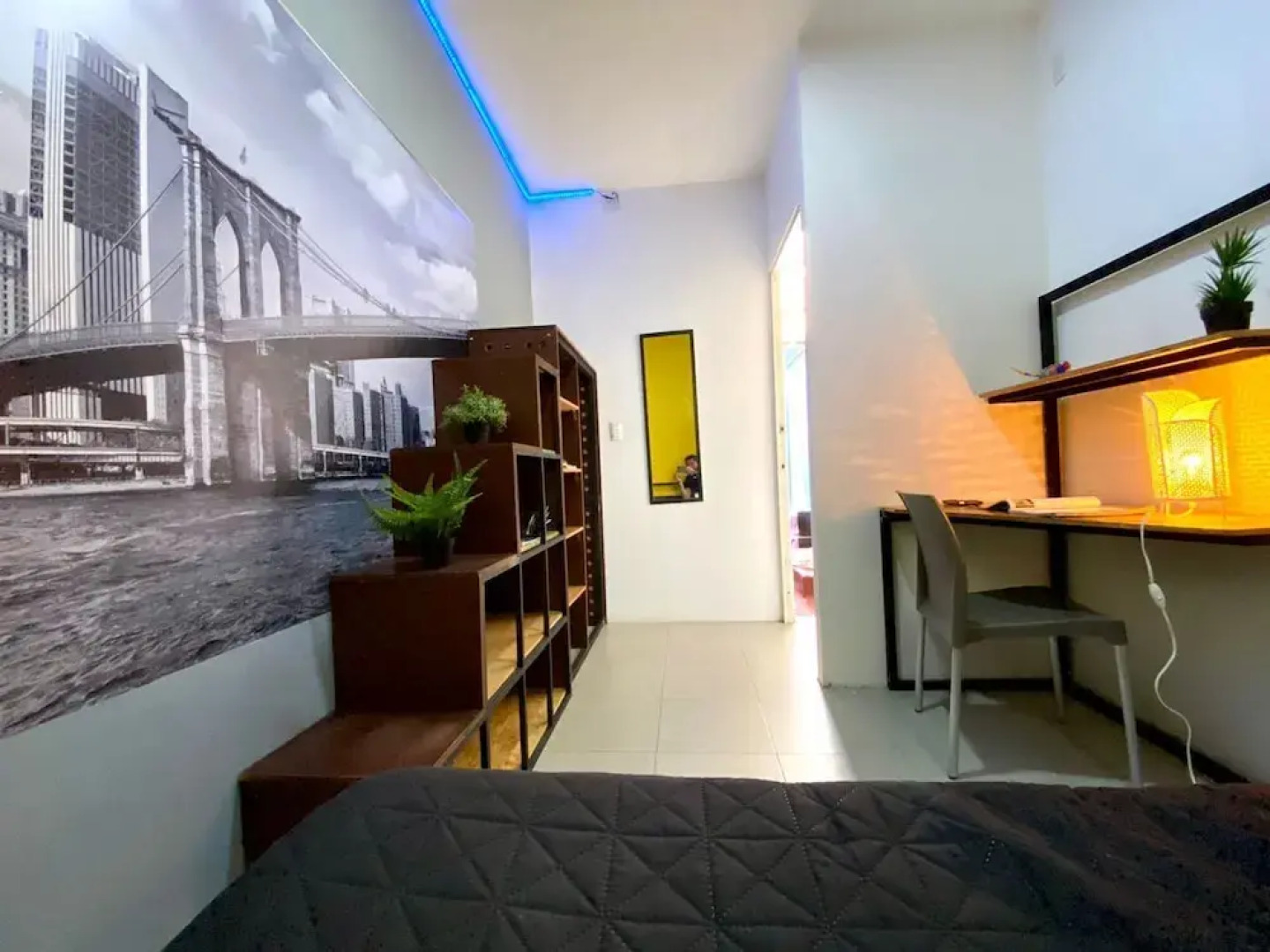 Roomies Hostel Parque Mexico