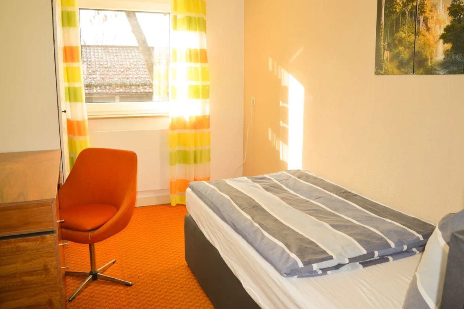 alpha-spot Weißenhorn