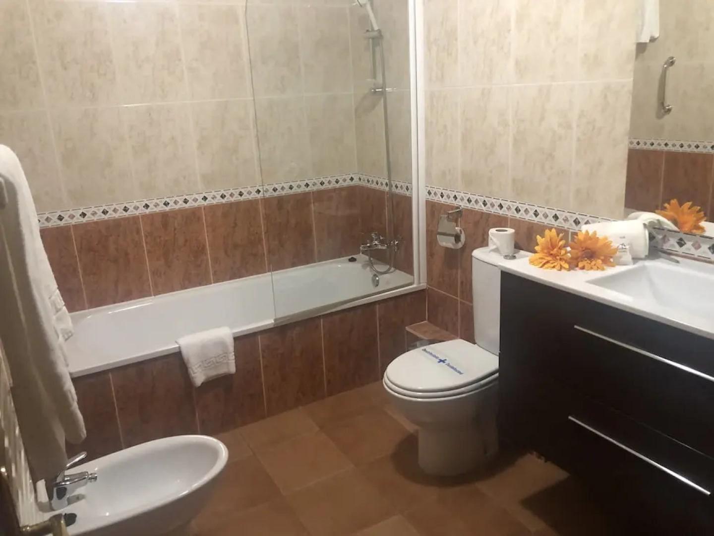 Apartamentos Solineu