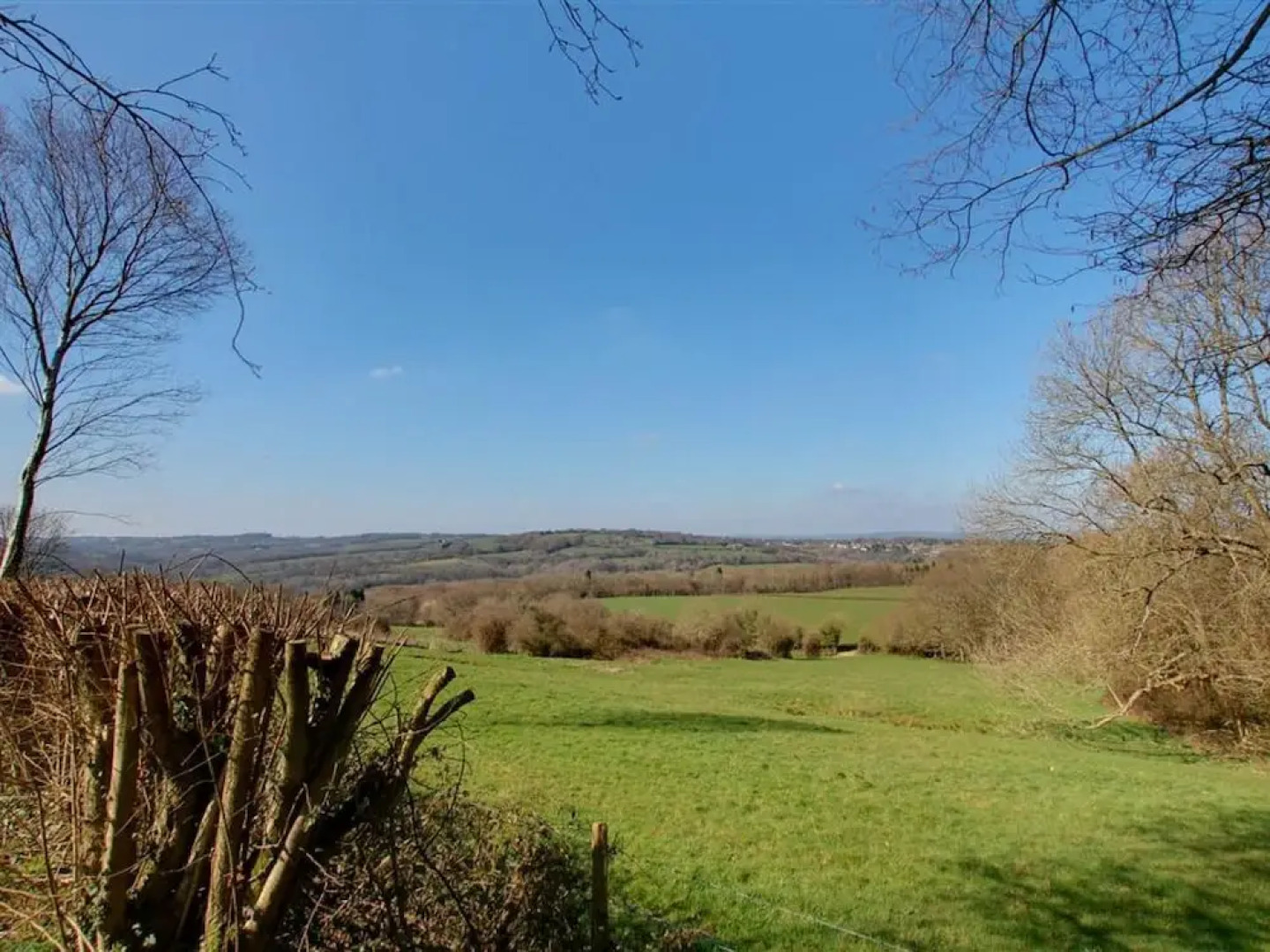 Detached Holiday Home in Beautiful Forest Location in Brightling