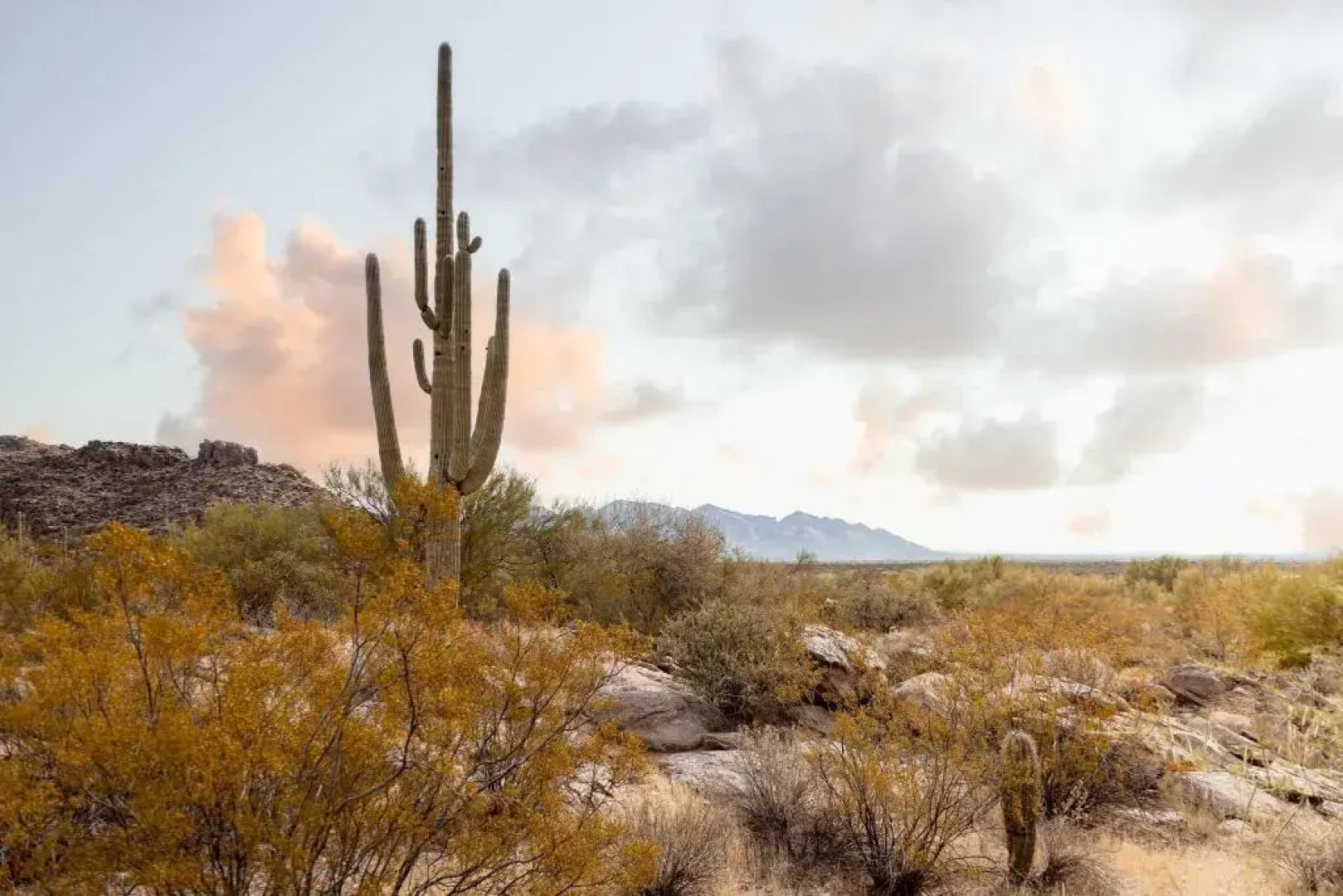 Aloft Tucson University