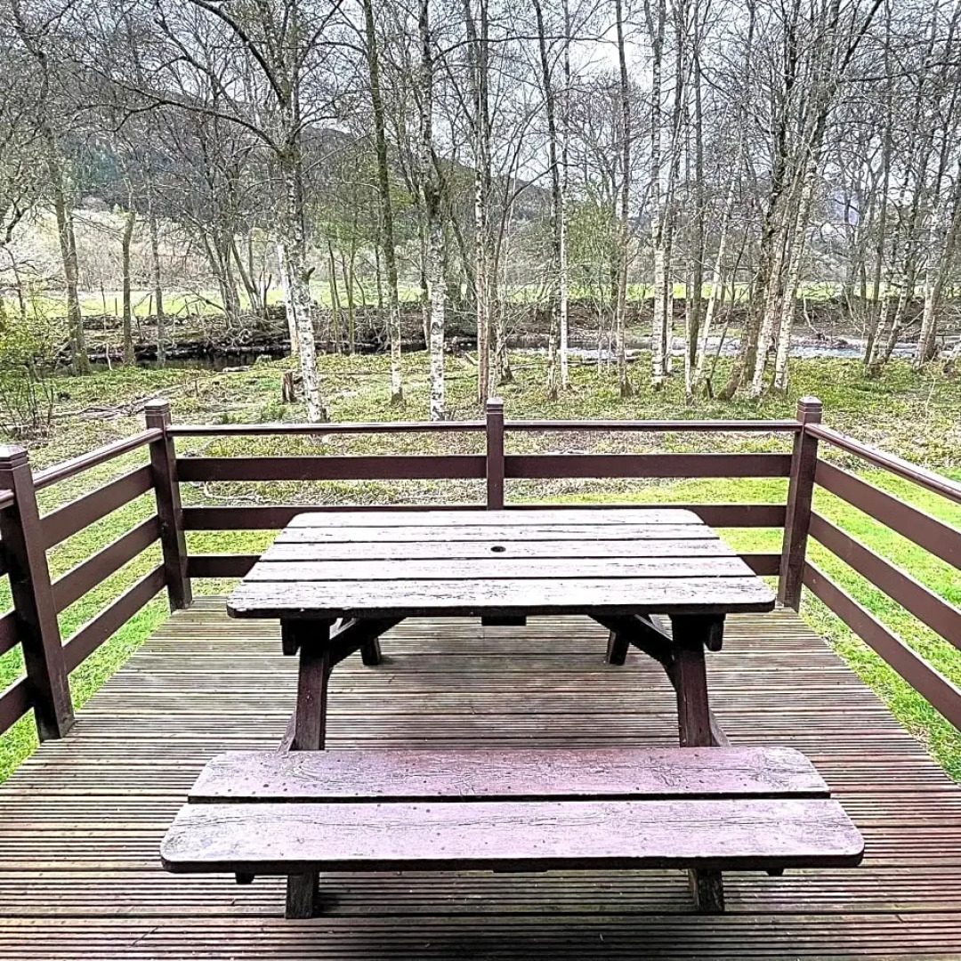 Riverside log cabins