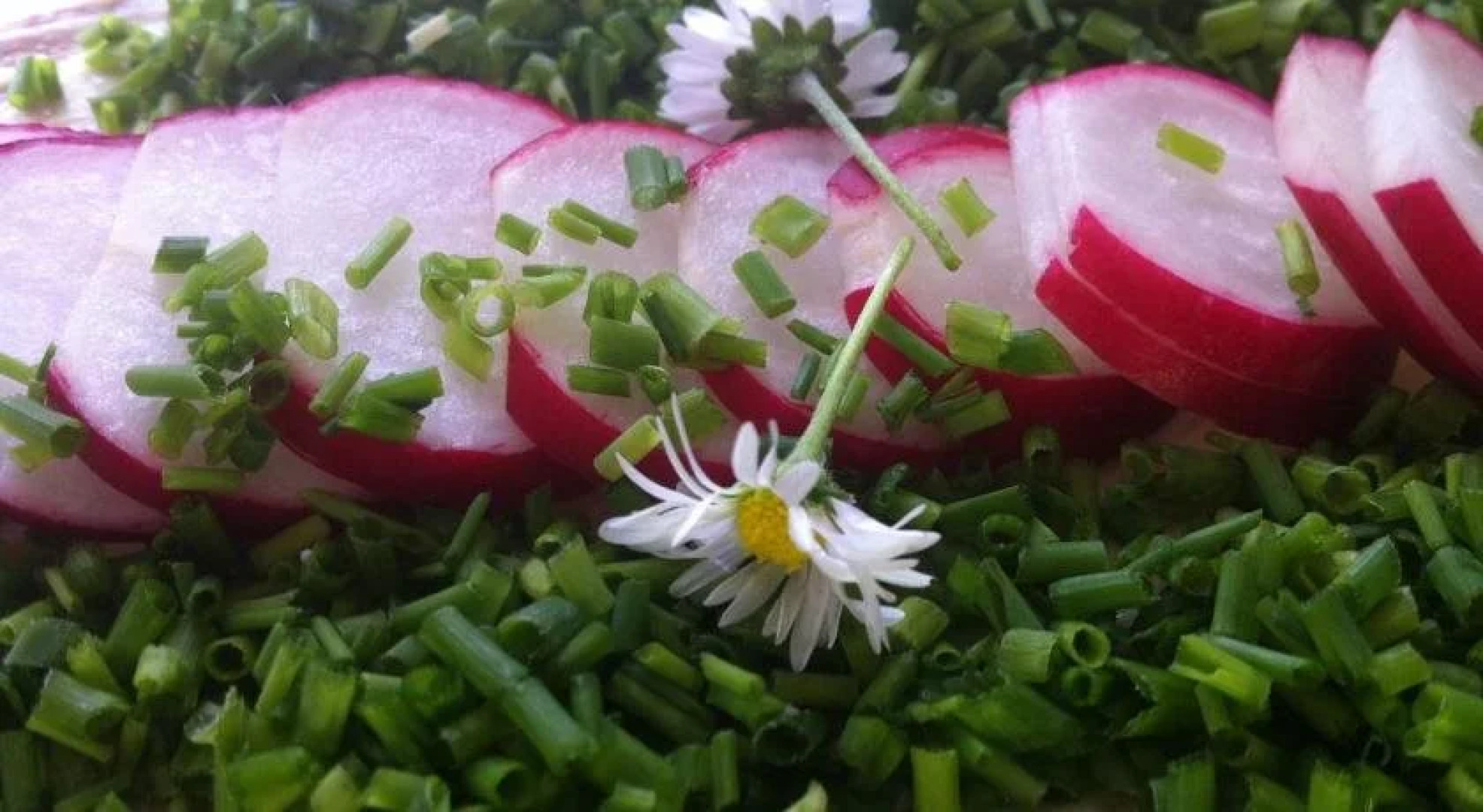 Traubengarten Winkler