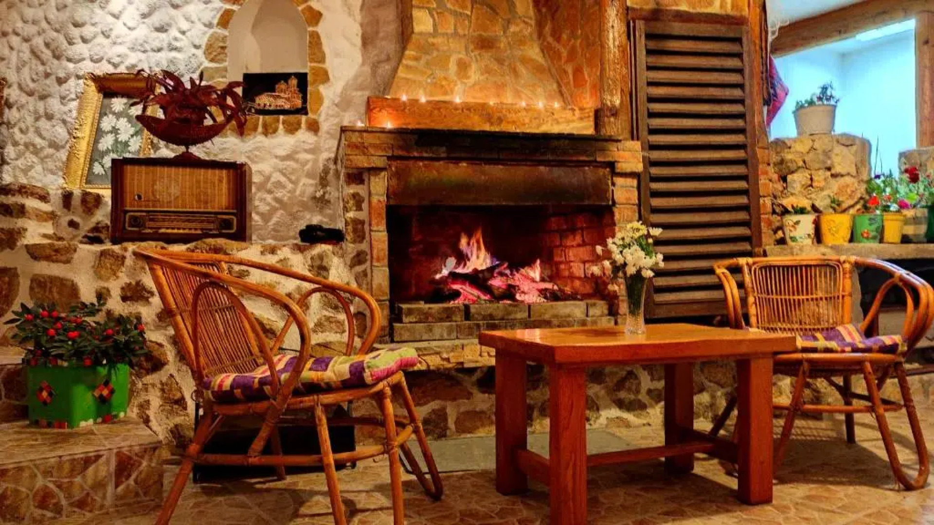 Villa Forest Paradise