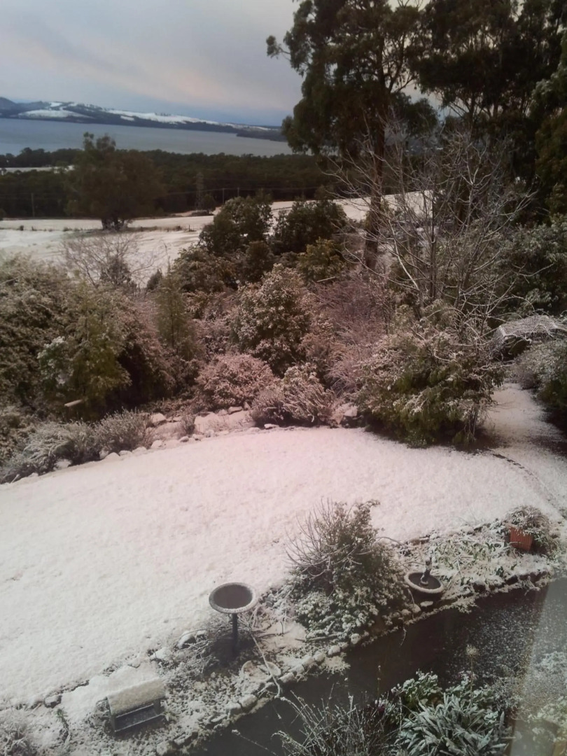 Waterview Gardens B&B