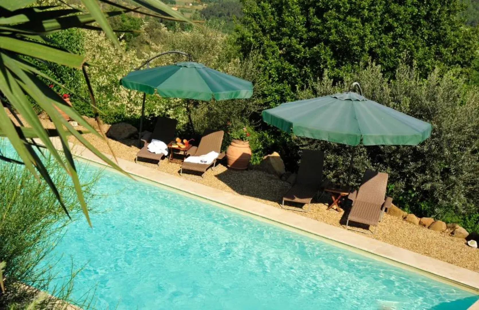 Ventena Vecchia Antico Frantoio