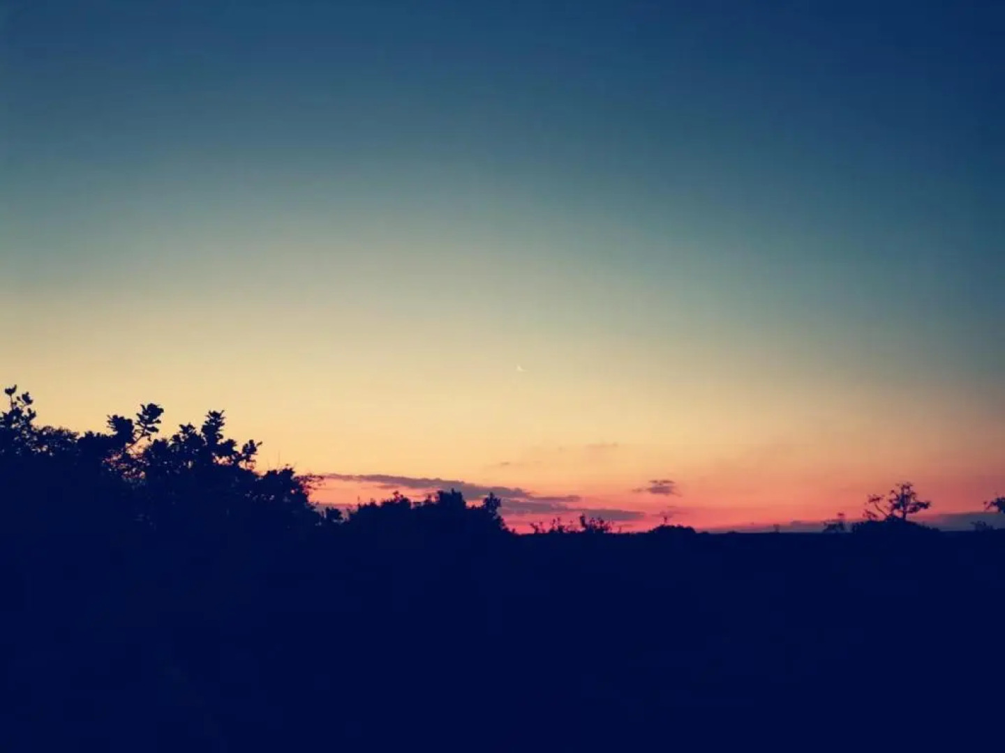 Sondela Nature Reserve & Spa Moselesele Tents