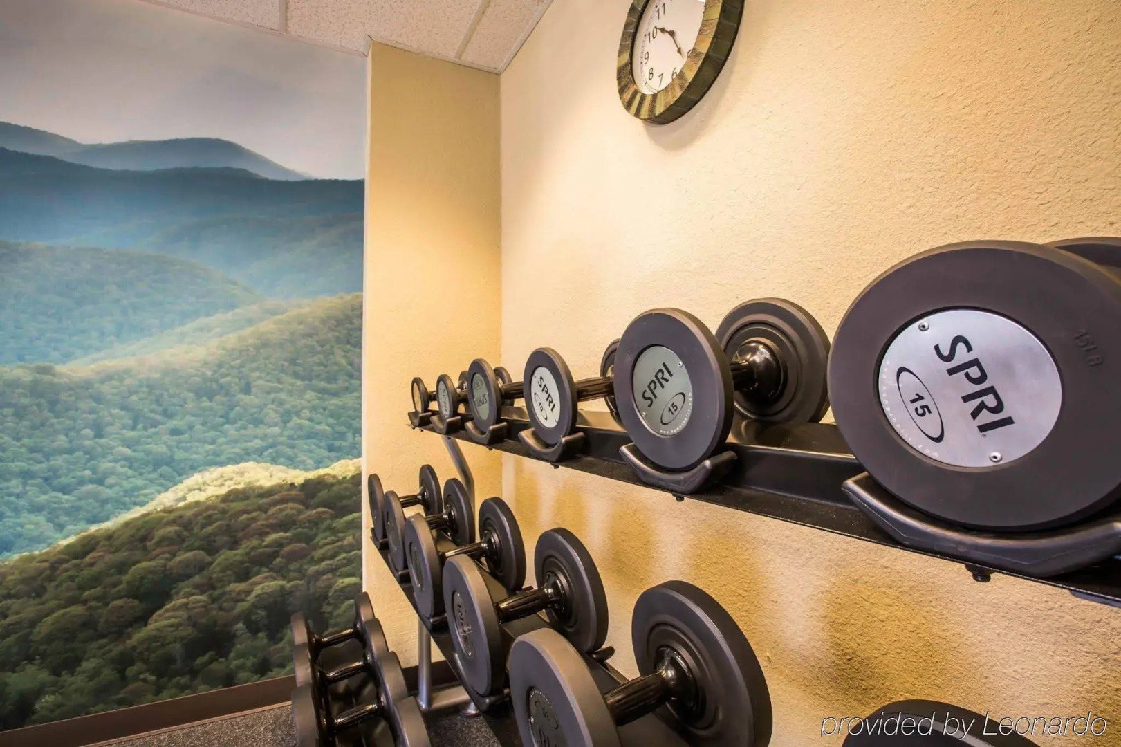 Quality Inn Jonesville I-77