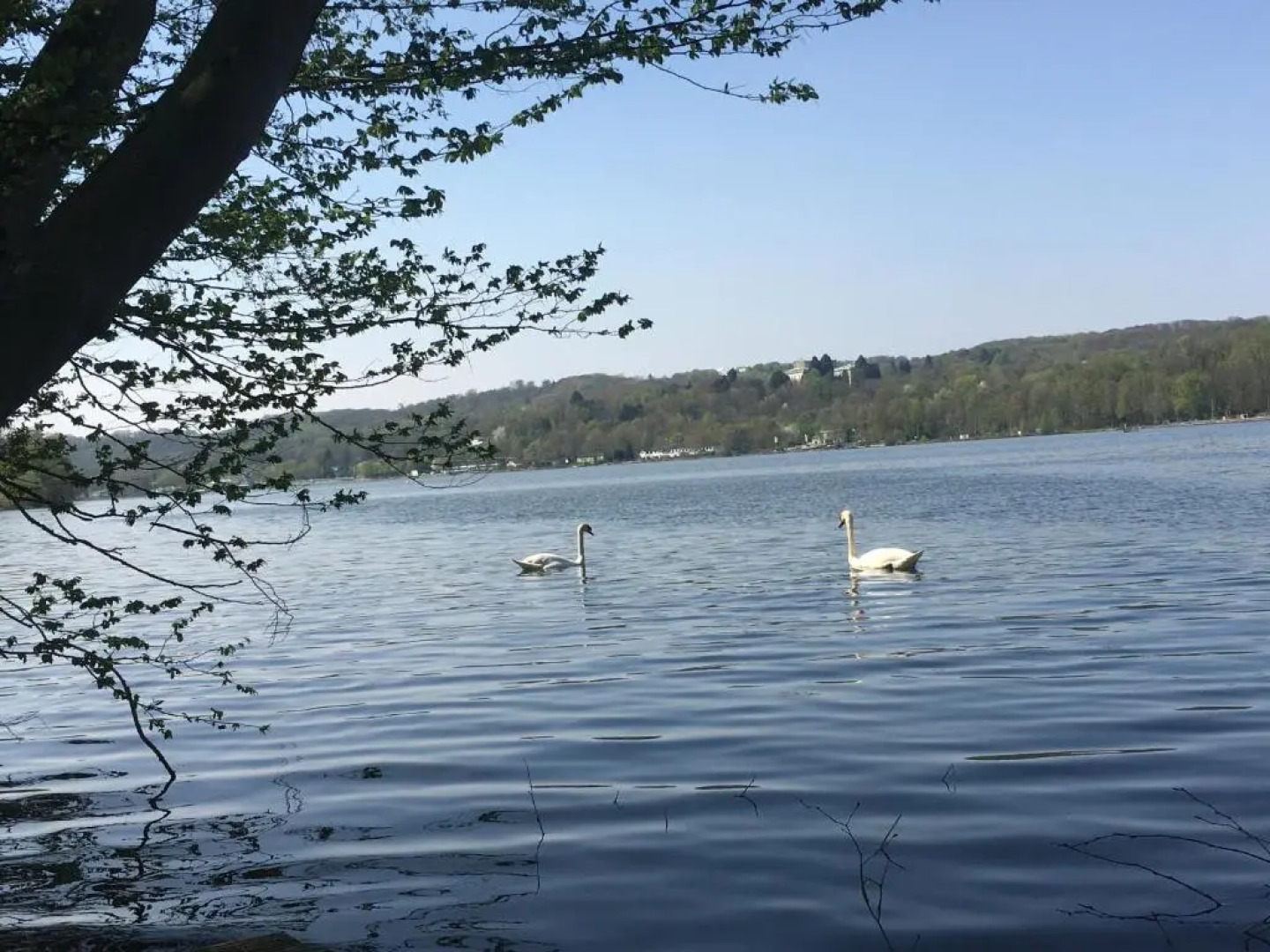 FRANKES LODGE Apartment mit Garten und Pool