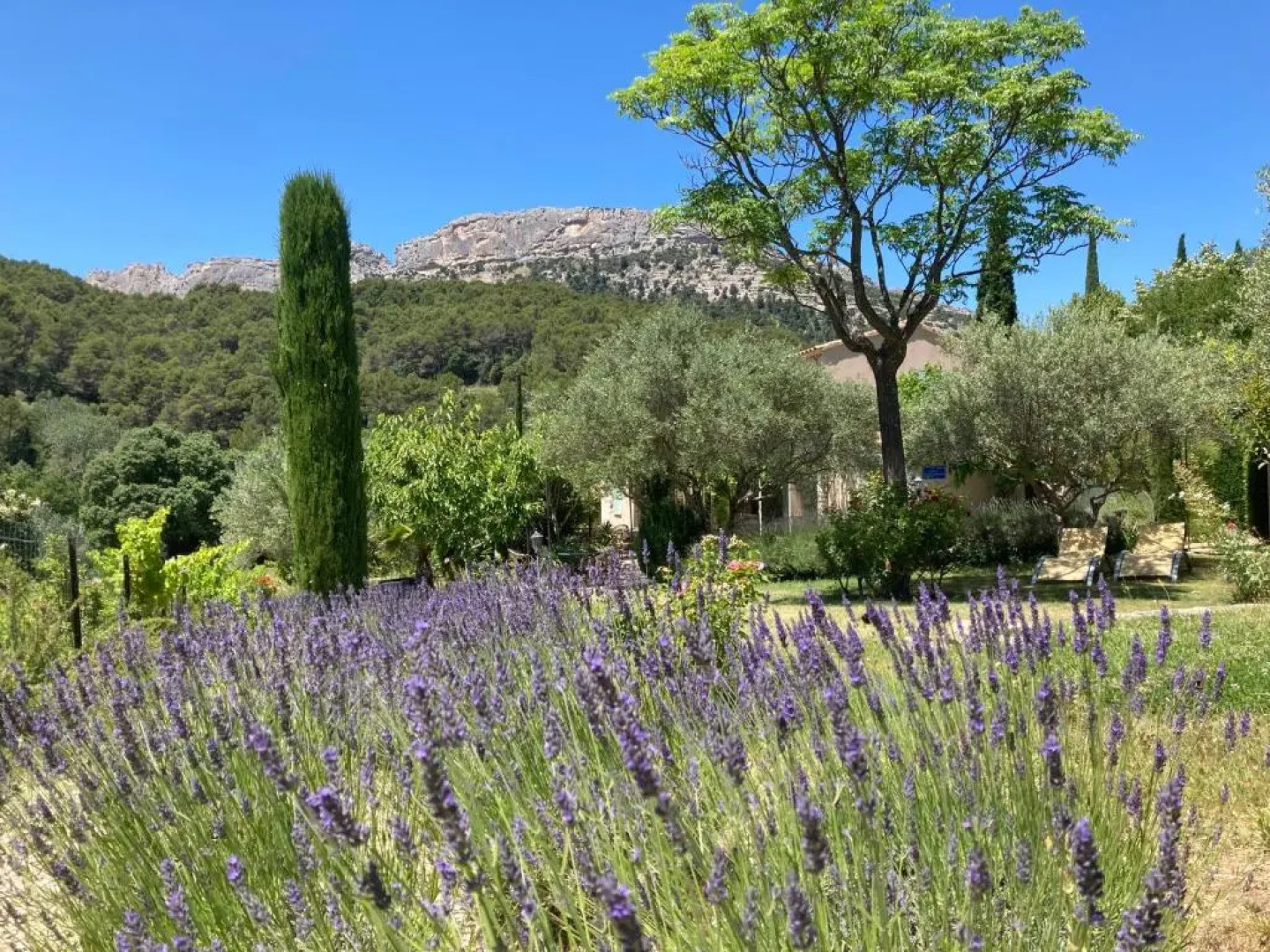 Au Soleil du Bonheur
