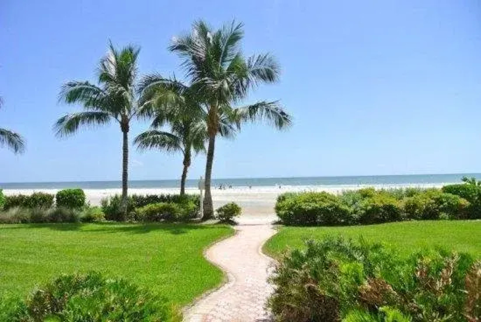 The Original Beachcomber Daily