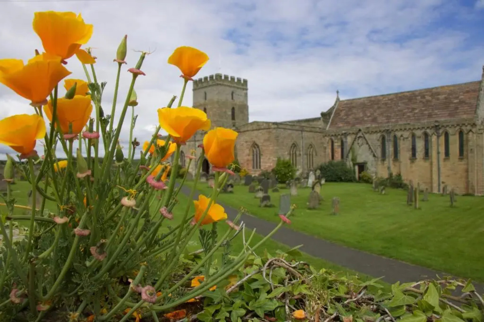 Pintail Apartment Bamburgh