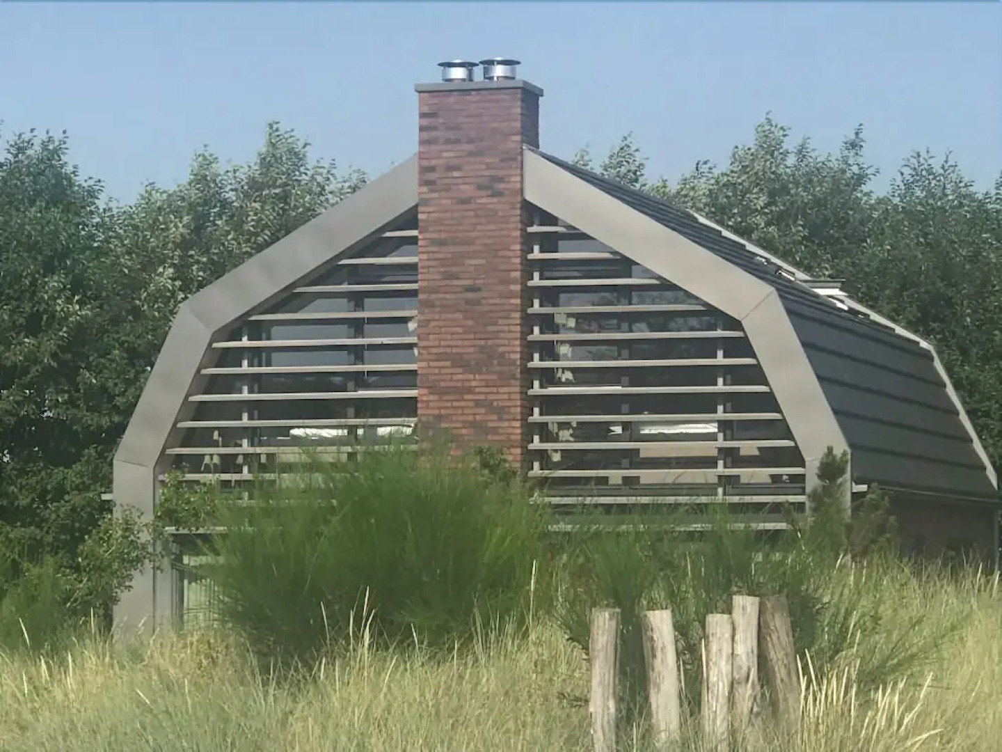 Reiger aan Zee Egmond