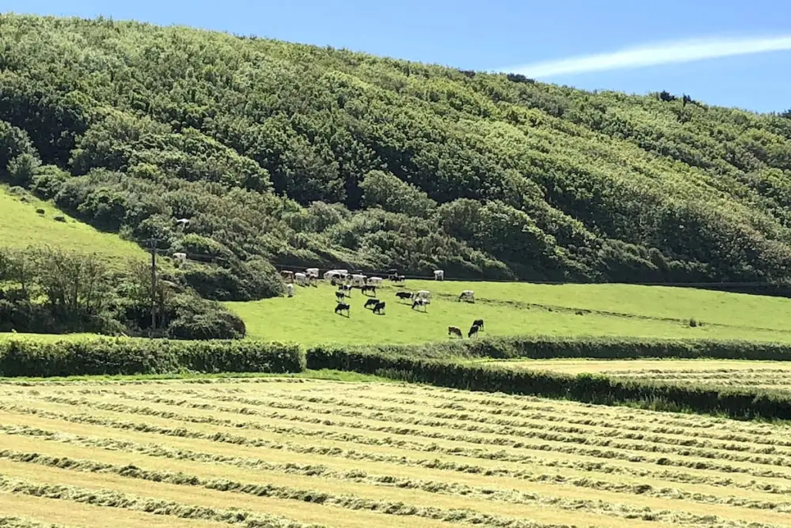 Croyde Villa Sunsea 6 Bedrooms