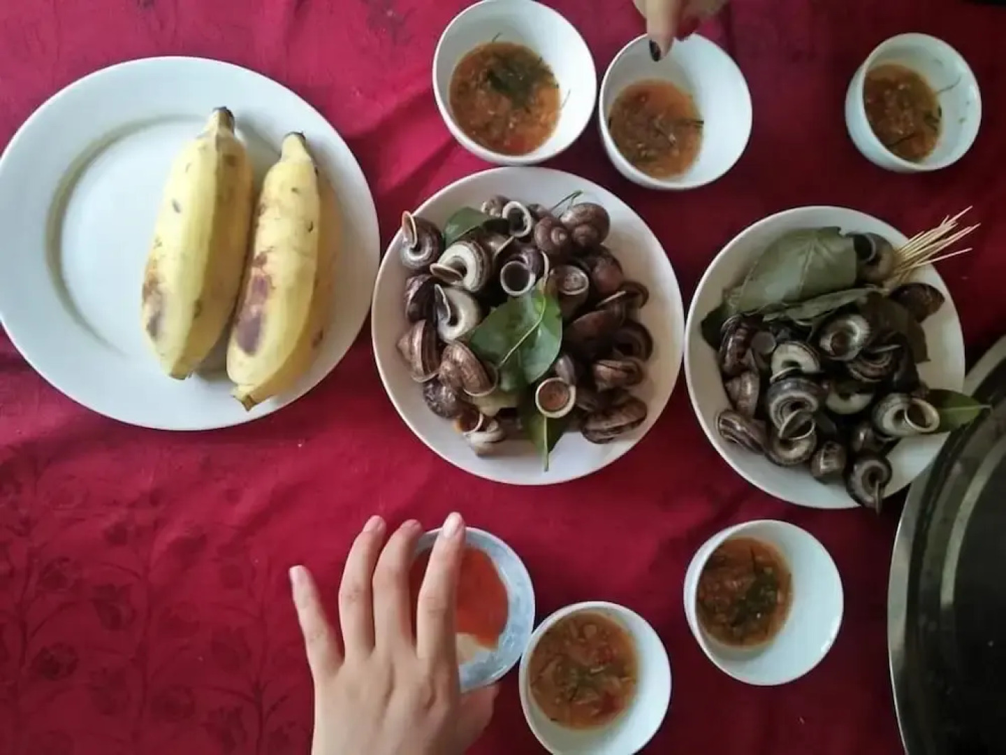 Tran Xuan Homestay - Hostel