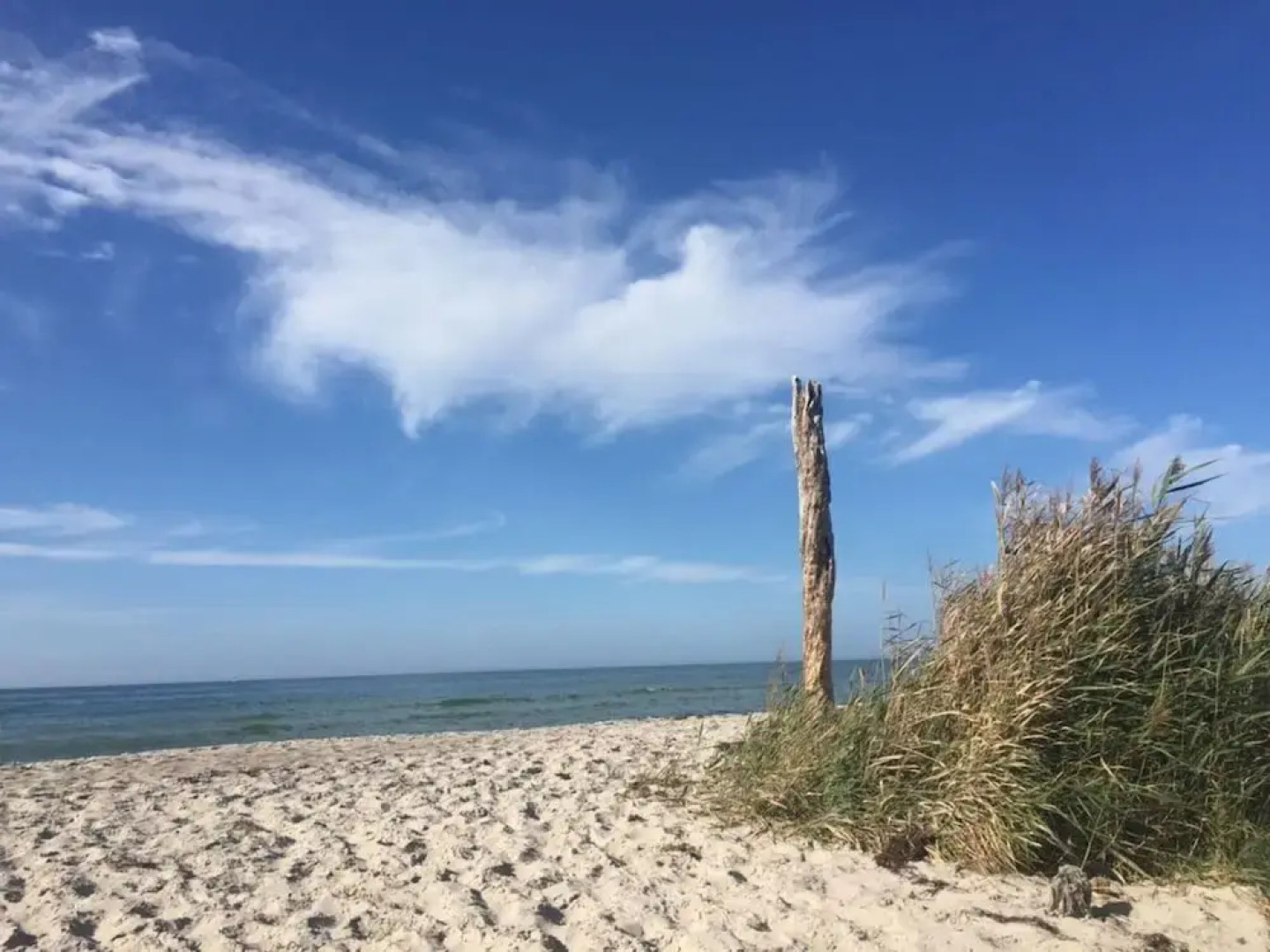 Baltic Sea Dromelhus