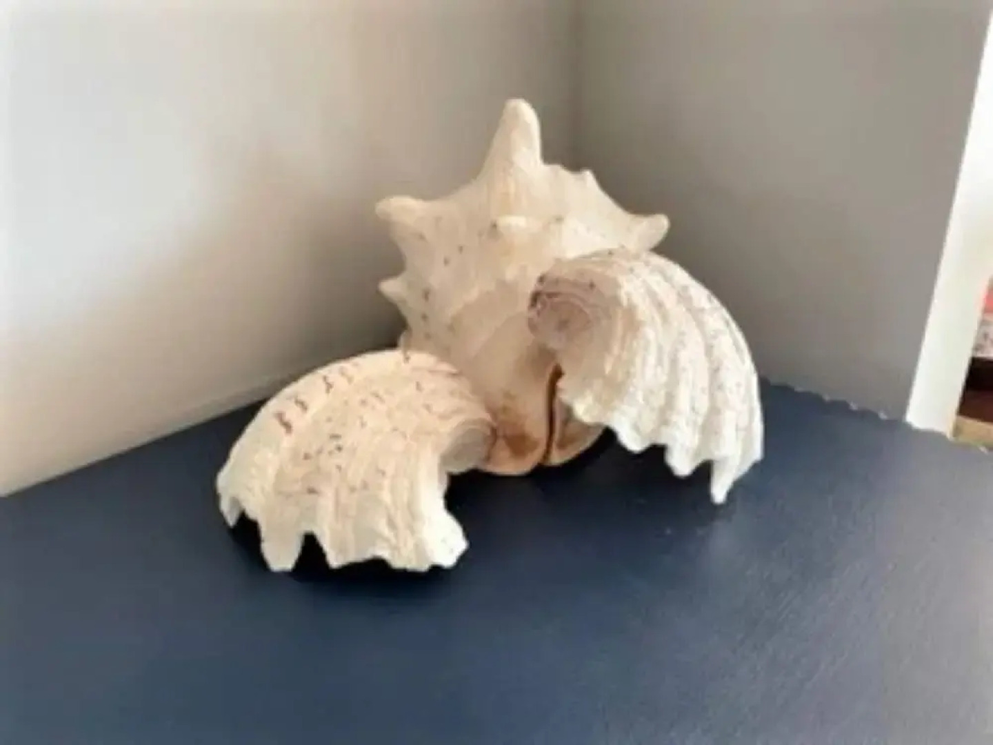 Exquisite Beachfront Residence With Luxurious Interiors The Cozy Clam Pevensey Bay