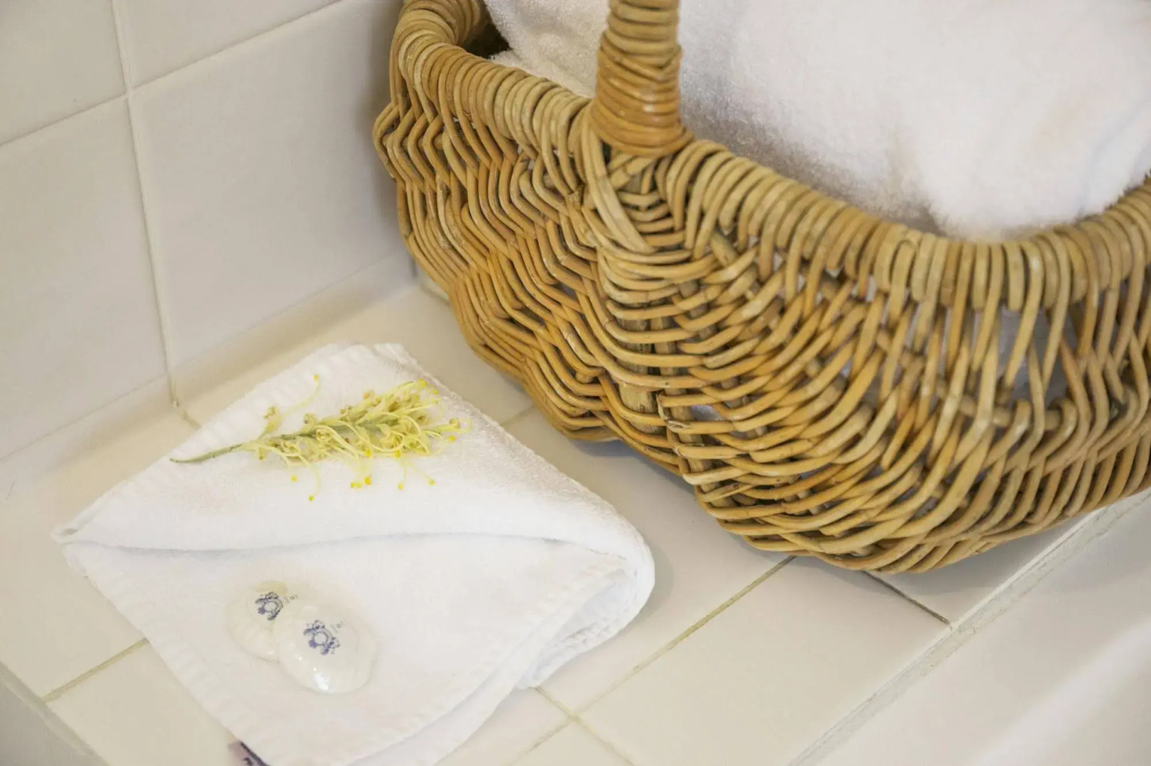 Terrace Lofts Apartments